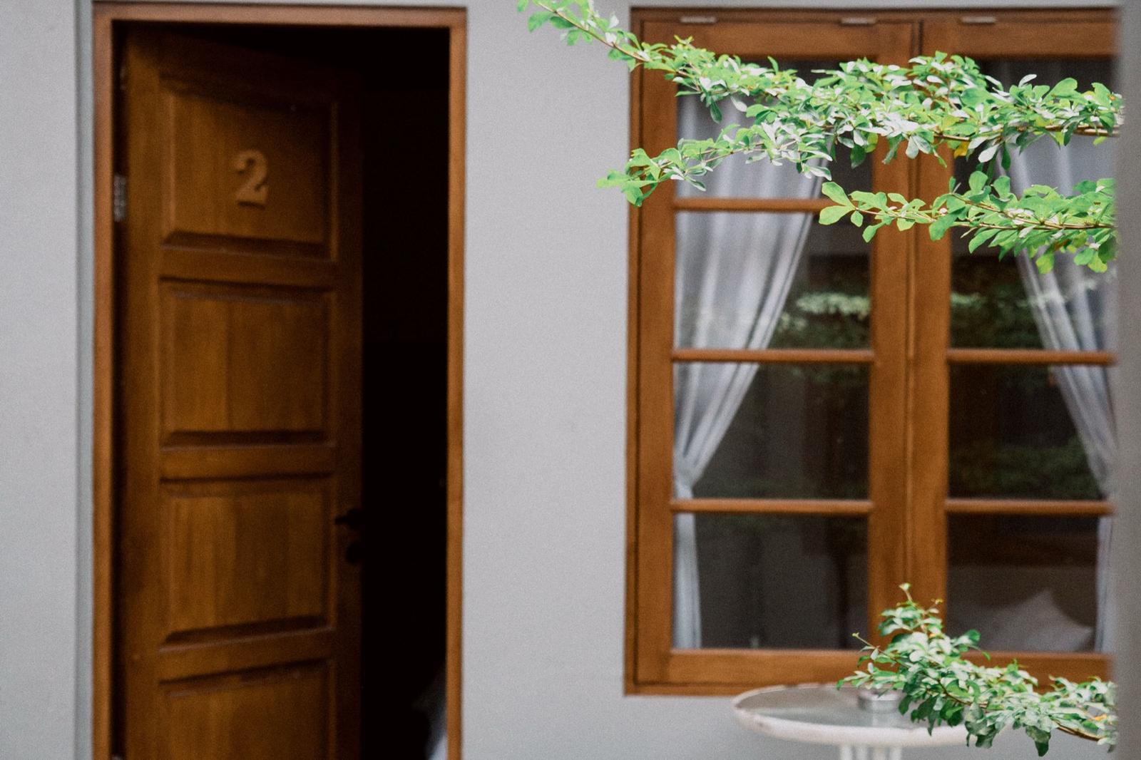 A wooden room door and window framed by leafy branches.